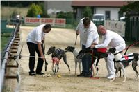 chrti_dostihy_Summe_Prix_Czech_Greyhound_Racing_Federation_NQ1M4982.JPG