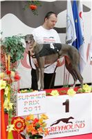 chrti_dostihy_Summe_Prix_Czech_Greyhound_Racing_Federation_NQ1M5001.JPG