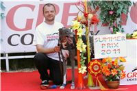 chrti_dostihy_Summe_Prix_Czech_Greyhound_Racing_Federation_NQ1M5041.JPG