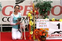 chrti_dostihy_Summe_Prix_Czech_Greyhound_Racing_Federation_NQ1M5042.JPG