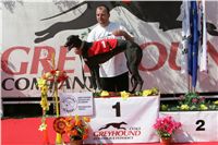chrti_dostihy_Summe_Prix_Czech_Greyhound_Racing_Federation_NQ1M5105.JPG