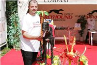 chrti_dostihy_Summe_Prix_Czech_Greyhound_Racing_Federation_NQ1M5113.JPG