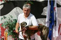 chrti_dostihy_Summe_Prix_Czech_Greyhound_Racing_Federation_NQ1M5130.jpg