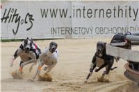 chrti_dostihy_Summe_Prix_Czech_Greyhound_Racing_Federation_r3_DSC08084.JPG