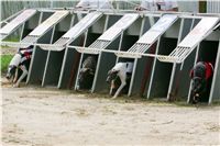 chrti_dostihy_Summe_Prix_Czech_Greyhound_Racing_Federation_r3_NQ1M4938.JPG