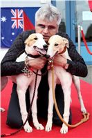 Puppy_Big_Daddy_Cool_Czech_Greyhound_Racing_Federation_IMG_2030.JPG