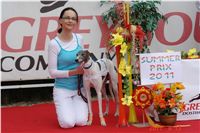 sportovni_modelka_Chanelka_Czech_Greyhound_Racing_Federation_DSC04869_v.JPG