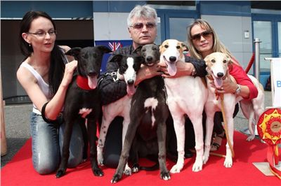 Puppy_Big_Daddy_Cool_Czech_Greyhound_Racing_Federation_IMG_2026.jpg