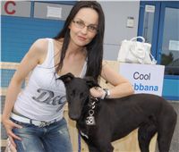 Puppy_Big_Daddy_Cool_Czech_Greyhound_Racing_Federation_DSC07360.JPG