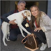 Puppy_Big_Daddy_Cool_Czech_Greyhound_Racing_Federation_DSC07627.JPG