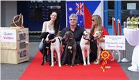 Puppy_Big_Daddy_Cool_Czech_Greyhound_Racing_Federation_DSC07903.JPG
