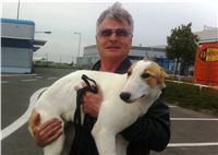 Puppy_Big_Daddy_Cool_Czech_Greyhound_Racing_Federation_IMG_0056.jpg