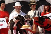 chrt_NewMac_Dior_Ceska_greyhound_dostihova_federace_DSC05752.JPG