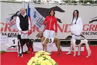 chrt_NewMac_Dior_Ceska_greyhound_dostihova_federace_DSC09085.JPG