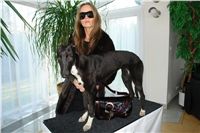 chrt_NewMac_Dior_Ceska_greyhound_dostihova_federace_DSC09113.JPG