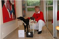 chrt_NewMac_Dior_Ceska_greyhound_dostihova_federace_DSC09179.JPG