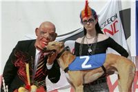 Leger_2009_Czech_Greyhound_Racing_Federation_NQ1M6999-v.jpg