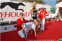 Chrt_White_Elbony_Czech_Greyhound_Racing_Federation_DSC05524.JPG