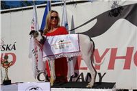 Chrt_White_Elbony_Czech_Greyhound_Racing_Federation_DSC08082.JPG