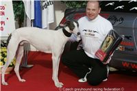 Chrt_White_Elbony_Czech_Greyhound_Racing_Federation_NQ1M1309.JPG