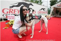 Chrt_White_Elbony_Czech_Greyhound_Racing_Federation_NQ1M5246.JPG