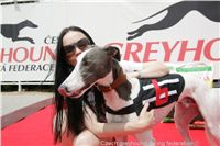 Chrt_White_Elbony_Czech_Greyhound_Racing_Federation_NQ1M5276.JPG