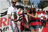 Chrt_White_Elbony_Czech_Greyhound_Racing_Federation_NQ1M6259.JPG