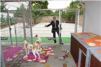 Greyhound Schooling Academy_Czech_Greyhound_Racing_Federation_DSC04241.JPG