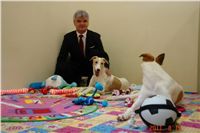 Greyhound Schooling Academy_Czech_Greyhound_Racing_Federation_DSC04345.JPG