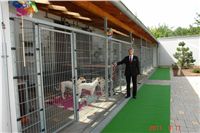 Greyhound Schooling Academy_Czech_Greyhound_Racing_Federation_DSC04520.JPG