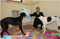 Greyhound Schooling Academy_Czech_Greyhound_Racing_Federation_DSC04555.JPG