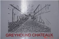 Greyhound Schooling Academy_Czech_Greyhound_Racing_Federation_DSC04716.JPG