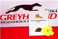 Snail_Race_World_Championship_CGDF_DSC05121.JPG