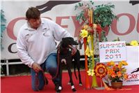 chrti_dostihy_Summe_Prix_Czech_Greyhound_Racing_Federation_DSC04831.JPG