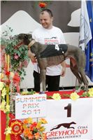 chrti_dostihy_Summe_Prix_Czech_Greyhound_Racing_Federation_NQ1M5000.JPG