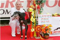 chrti_dostihy_Summe_Prix_Czech_Greyhound_Racing_Federation_NQ1M5054.JPG