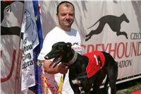 chrti_dostihy_Summe_Prix_Czech_Greyhound_Racing_Federation_NQ1M5108.JPG