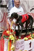 chrti_dostihy_Summe_Prix_Czech_Greyhound_Racing_Federation_NQ1M5111.JPG