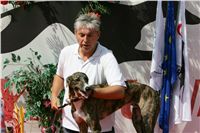 chrti_dostihy_Summe_Prix_Czech_Greyhound_Racing_Federation_NQ1M5130.JPG