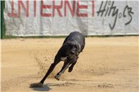 3. Track_Record_Praskacka_Mount Cappucines_Jamaica_Czech_Greyhound_Racing_Federation_1_DSC09223_v.JP