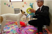 Greyhound Schooling Academy_Czech_Greyhound_Racing_Federation_DSC04310.JPG