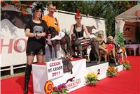 chrti_dostihy_St. Leger_Czech_Greyhound_Racing_Federation_DSC06393.JPG