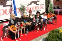 chrti_zavody_St-Leger_Czech_Greyhound_Racing_Federation_DSC06390.jpg