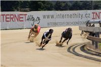 St. Leger_Czech_Greyhound_Racing_Federation_DSC09179.JPG