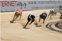 St. Leger_Czech_Greyhound_Racing_Federation_DSC09180.JPG