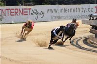 St. Leger_Czech_Greyhound_Racing_Federation_DSC09181.JPG