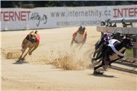 St. Leger_Czech_Greyhound_Racing_Federation_DSC09183.JPG