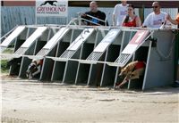 St. Leger_Czech_Greyhound_Racing_Federation_NQ1M5358.JPG