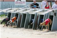 St. Leger_Czech_Greyhound_Racing_Federation_NQ1M5359.JPG