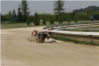 St. Leger_Czech_Greyhound_Racing_Federation_NQ1M5380.JPG